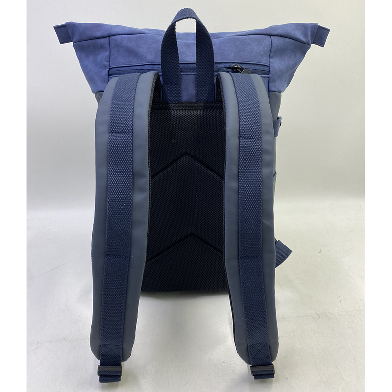 Back view