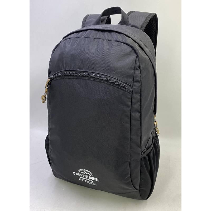 Lightweight Casual School Backpack